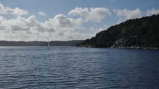Fjord med en segelbåt.