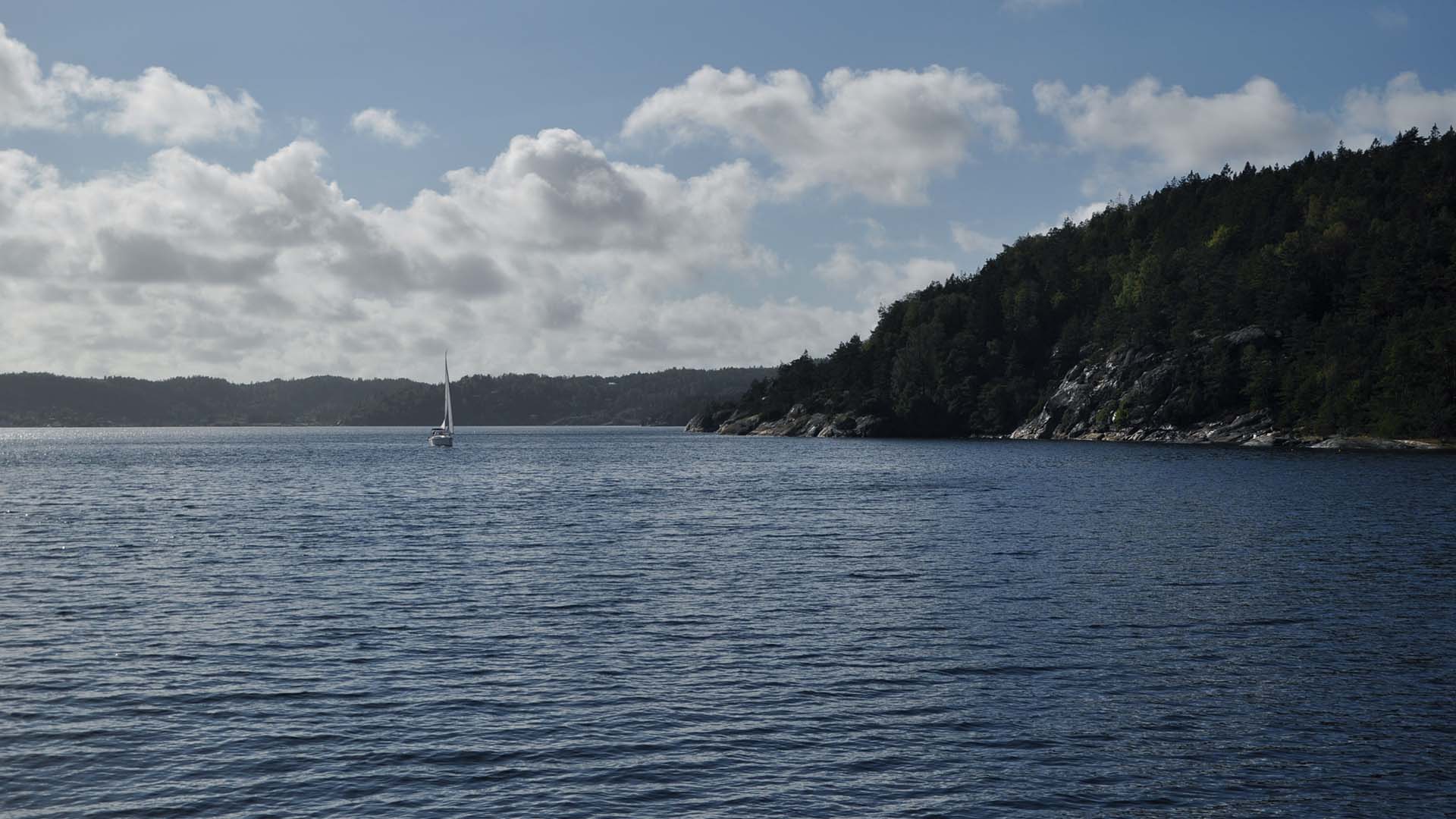 Fjord med en segelbåt.