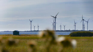 Natur och hav med vindkraftverk i bakgrunden