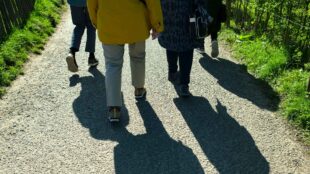 Grupp med äldre promenerar.