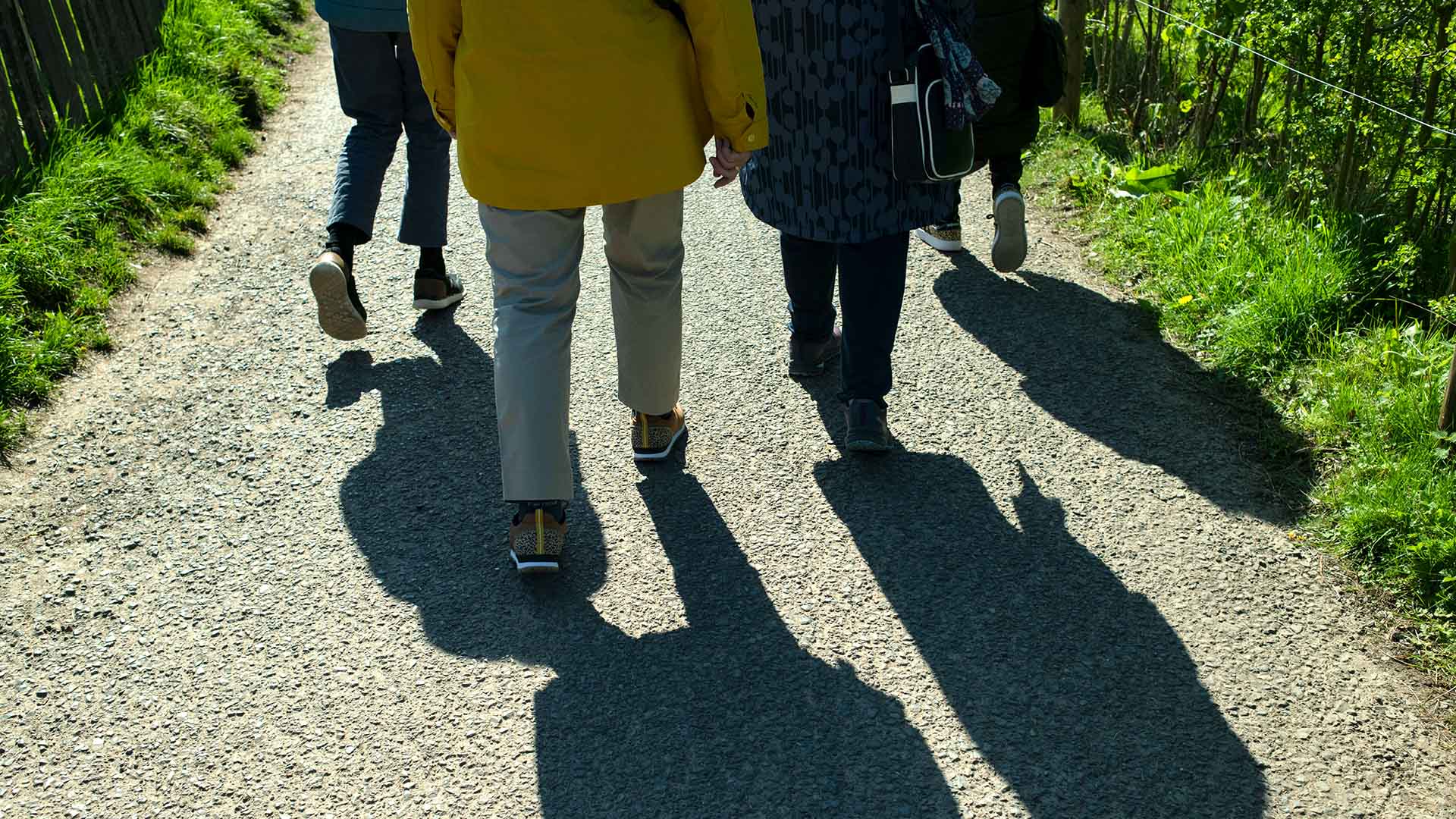 Grupp med äldre promenerar.