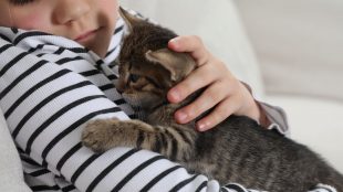 Barn i randig tröja gosar med en katt